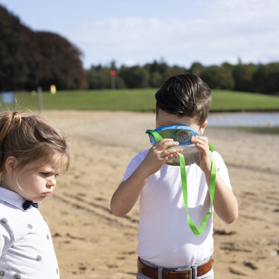 Caja de Estudio de Insectos L